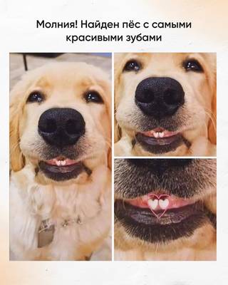 Мем